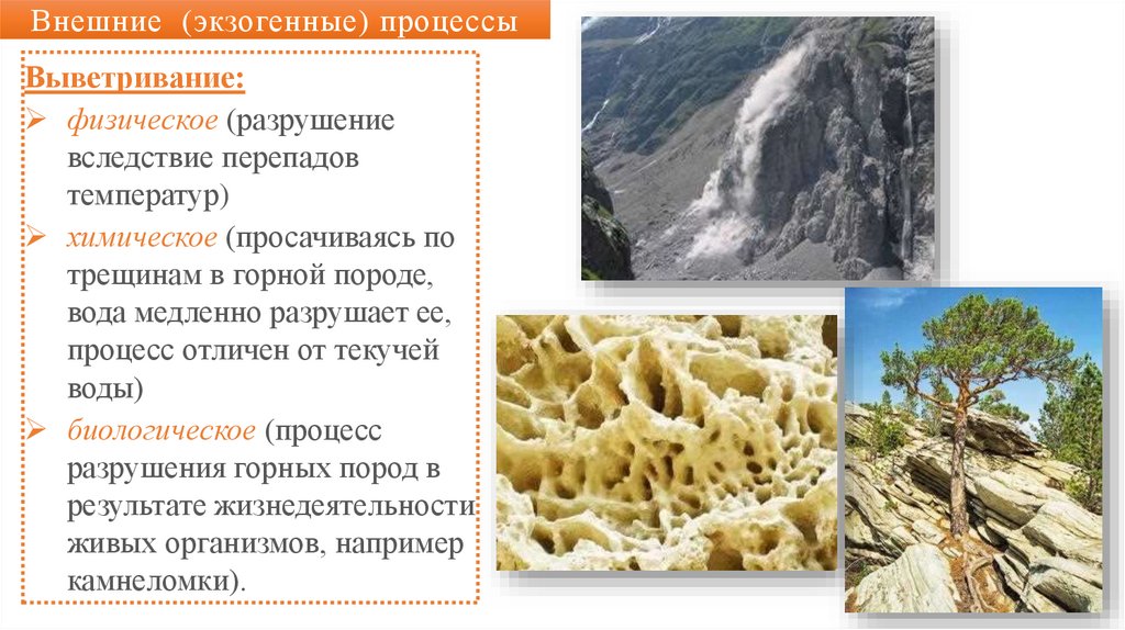 Внешние (экзогенные) процессы