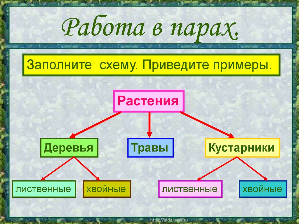 Работа в парах.