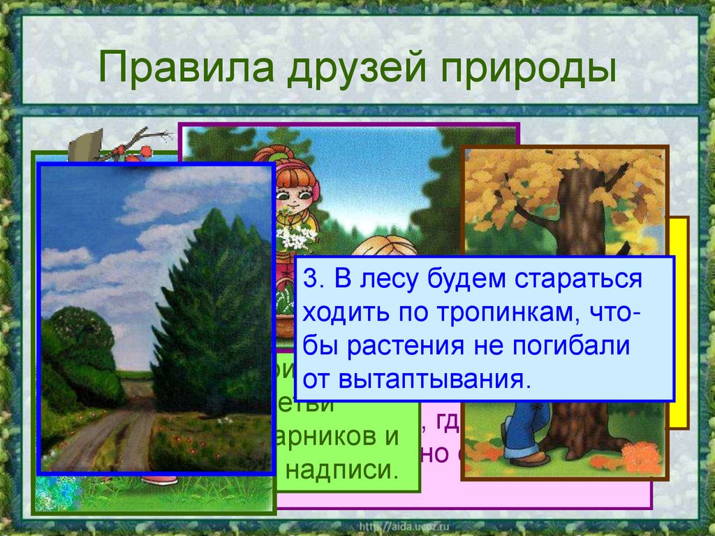 Правила друзей природы