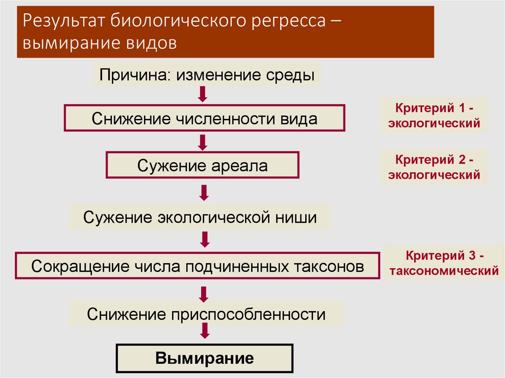 Результат биологического регресса – вымирание видов