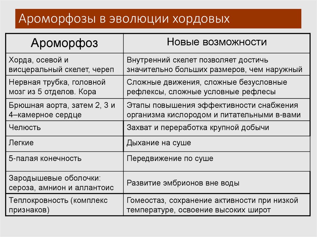 Ароморфозы в эволюции хордовых