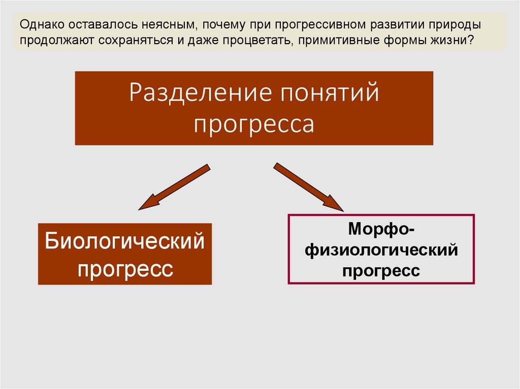 Разделение понятий прогресса
