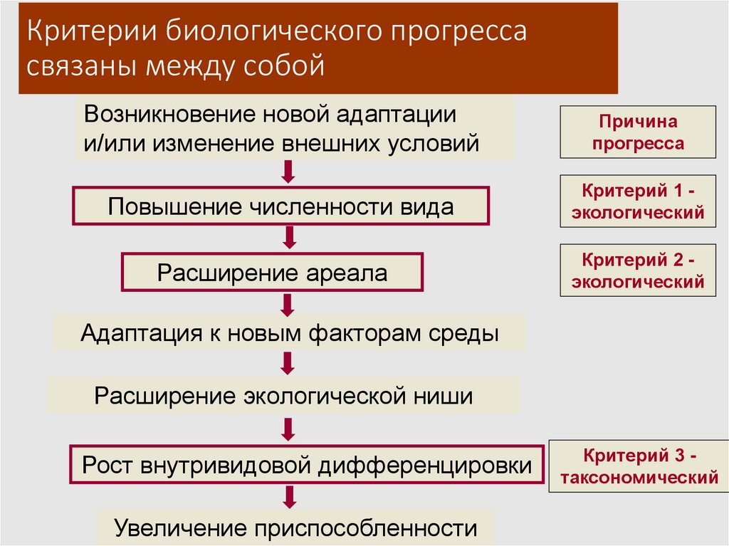 Критерии биологического прогресса связаны между собой