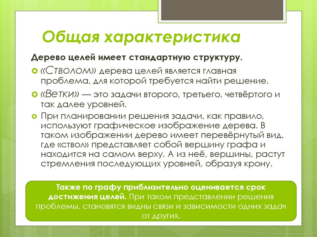 Общая характеристика