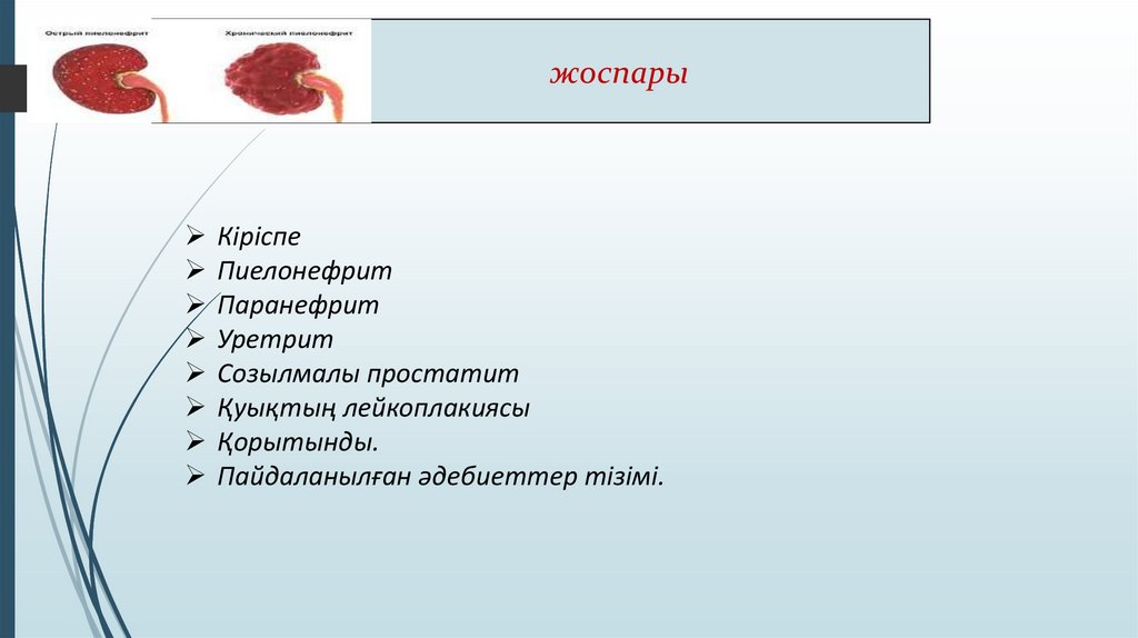 Өзбек порно видео