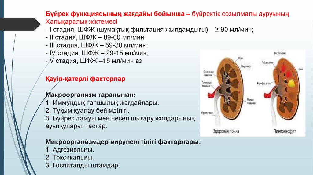 Жыныс 60 90 Жыныс 60 90
