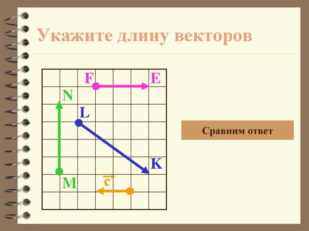 Укажите длину векторов