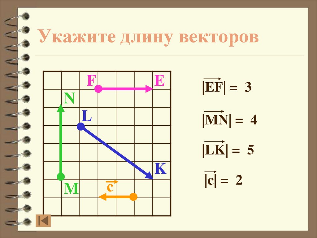 Укажите длину векторов