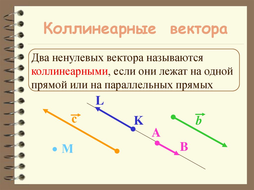 Коллинеарные вектора