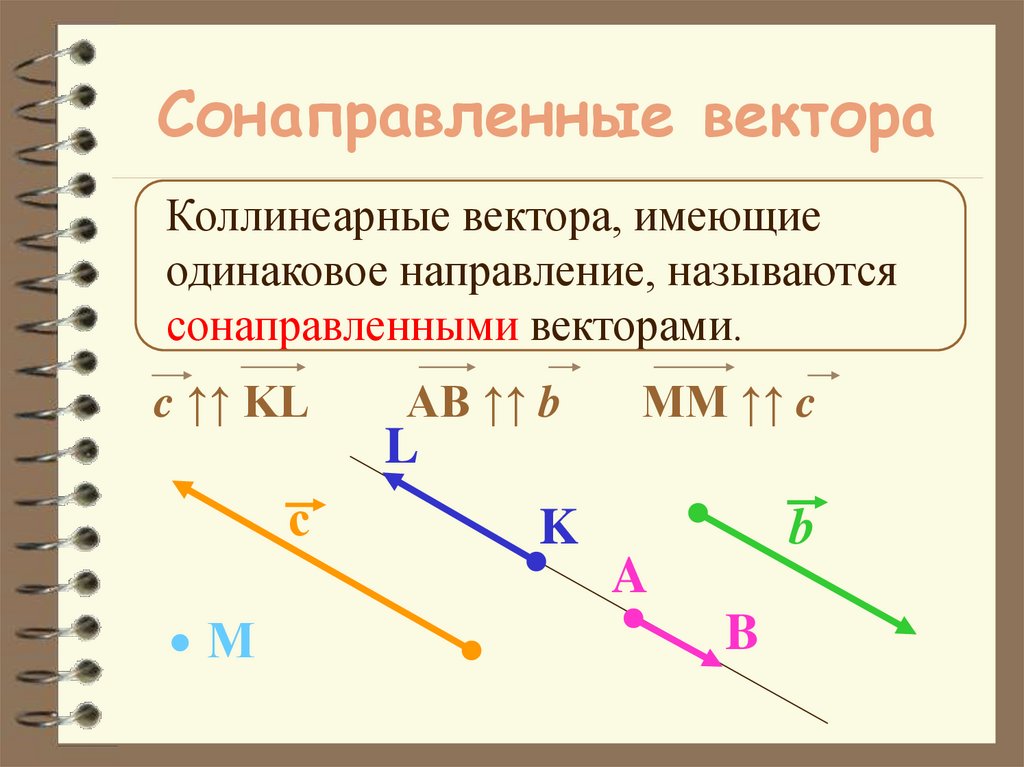 Сонаправленные вектора