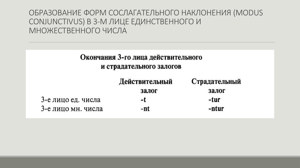 ОБРАЗОВАНИЕ ФОРМ СОСЛАГАТЕЛЬНОГО НАКЛОНЕНИЯ (MODUS CONJUNCTIVUS) В 3-М ЛИЦЕ ЕДИНСТВЕННОГО И МНОЖЕСТВЕННОГО ЧИСЛА