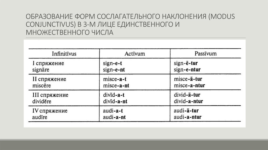 ОБРАЗОВАНИЕ ФОРМ СОСЛАГАТЕЛЬНОГО НАКЛОНЕНИЯ (MODUS CONJUNCTIVUS) В 3-М ЛИЦЕ ЕДИНСТВЕННОГО И МНОЖЕСТВЕННОГО ЧИСЛА