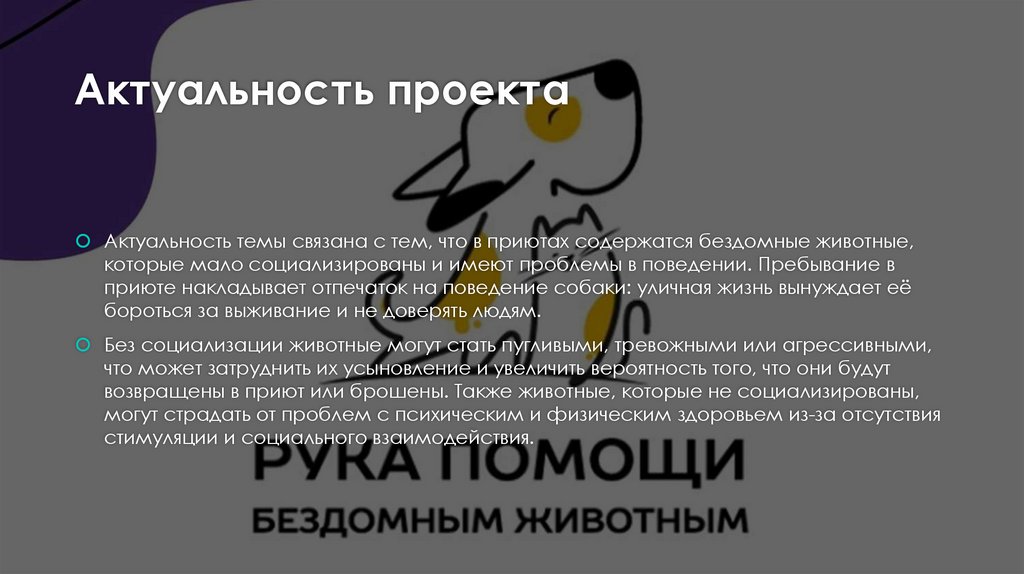 Актуальность проекта