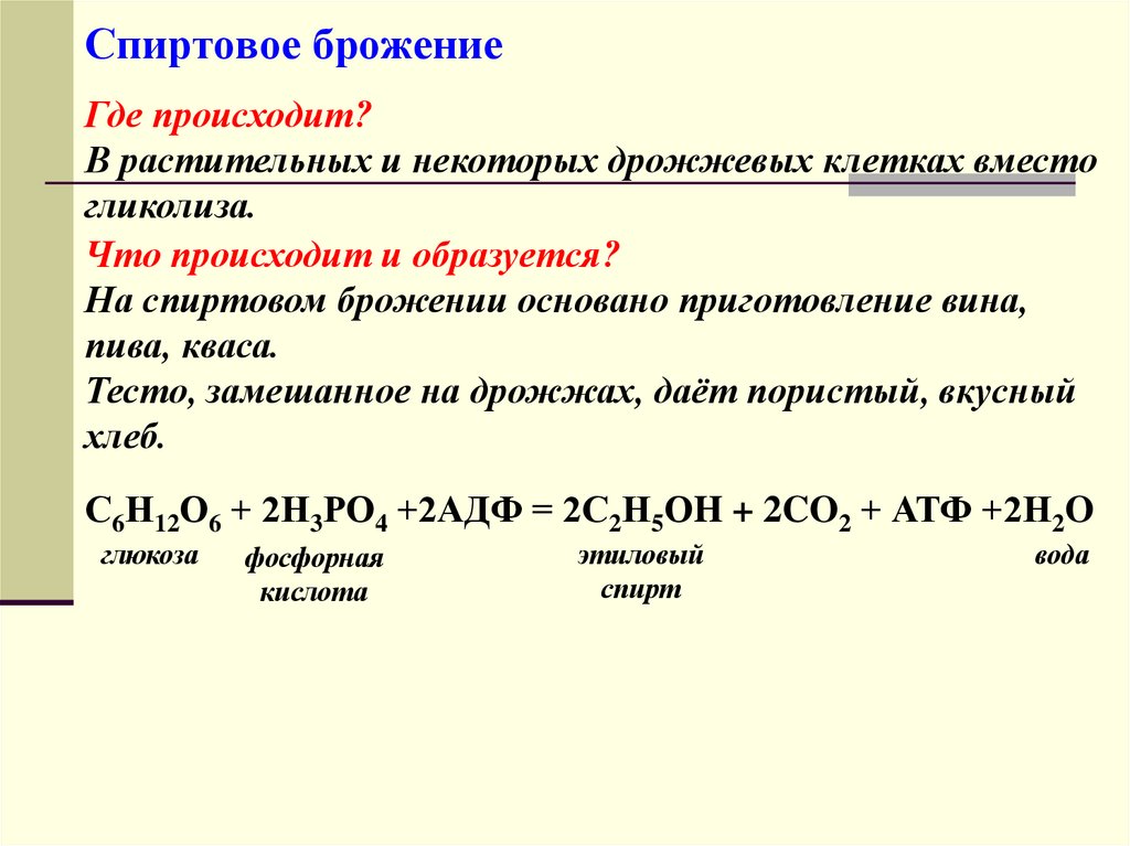 Спиртовое брожение