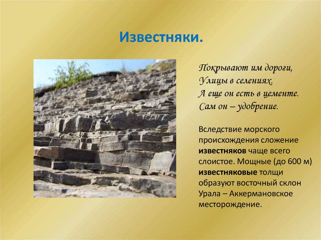 Известняки.