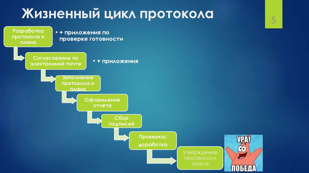Жизненный цикл протокола