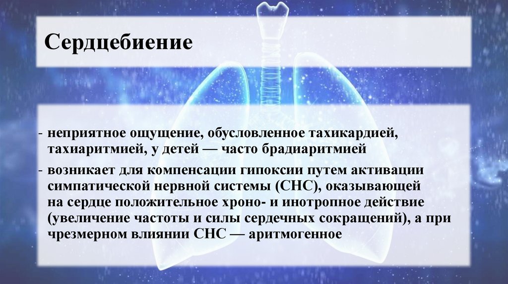 Сердцебиение 