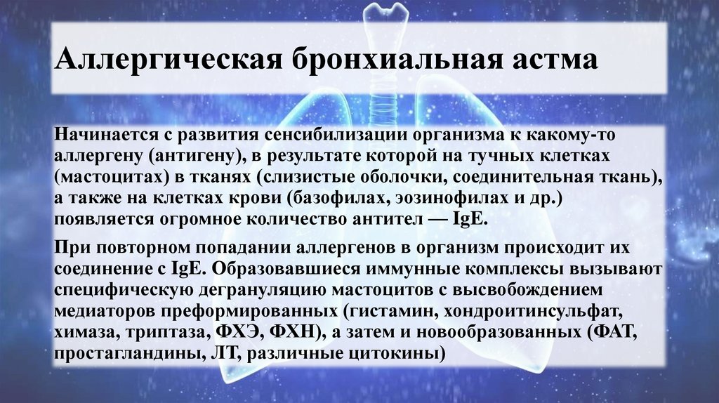 Аллергическая бронхиальная астма