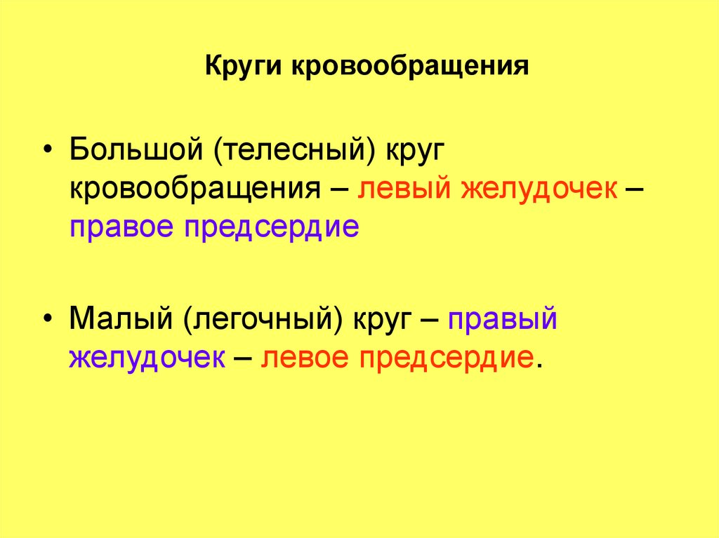 Круги кровообращения