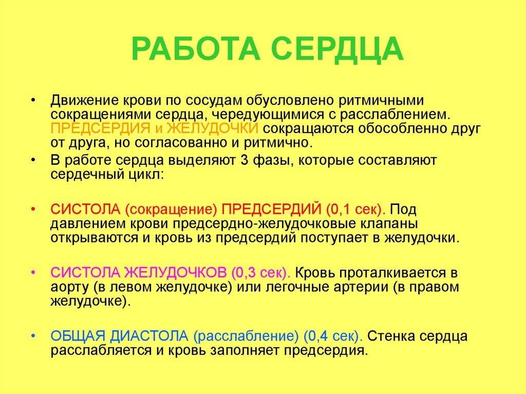 РАБОТА СЕРДЦА