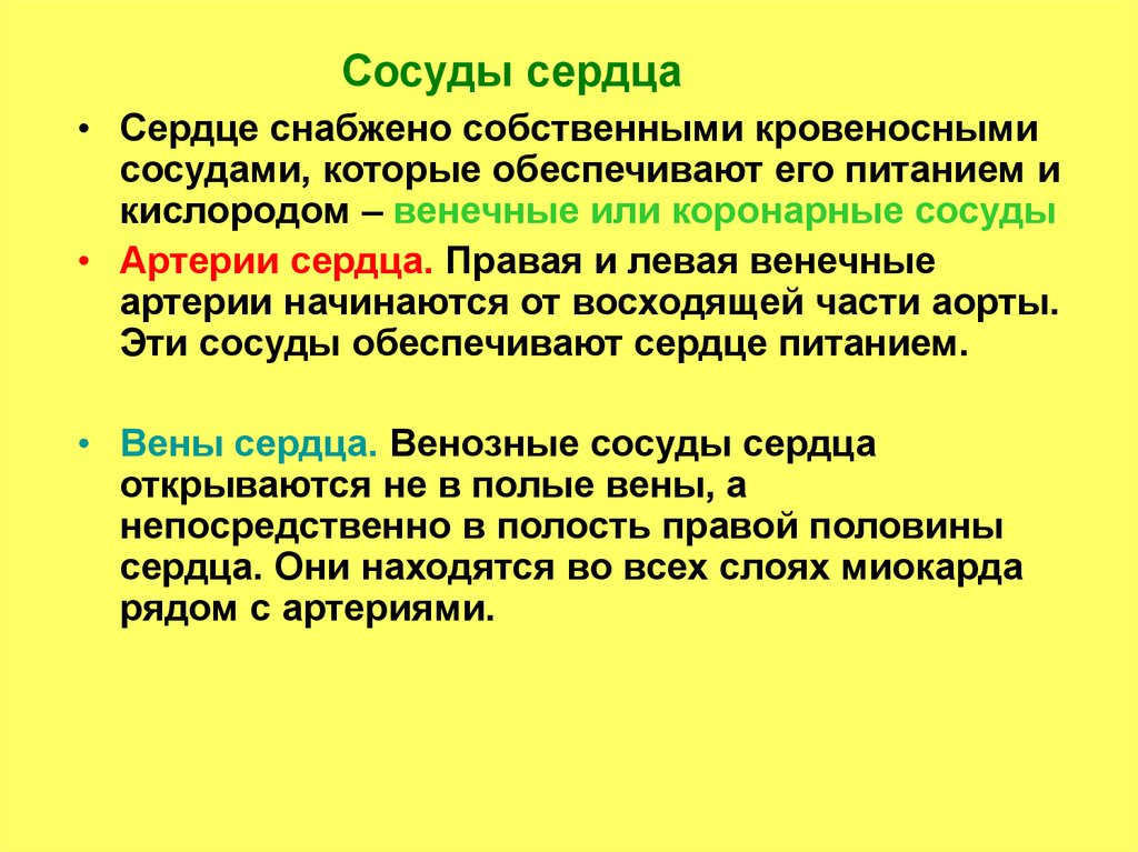 Сосуды сердца