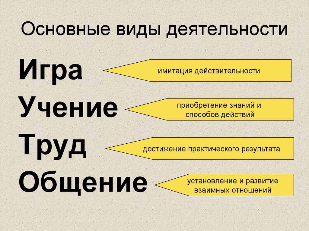 Основные виды деятельности