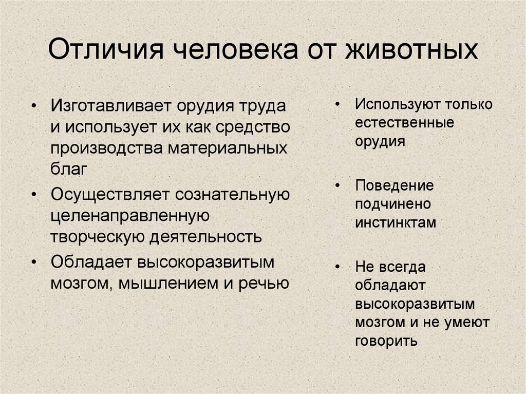 Отличия человека от животных