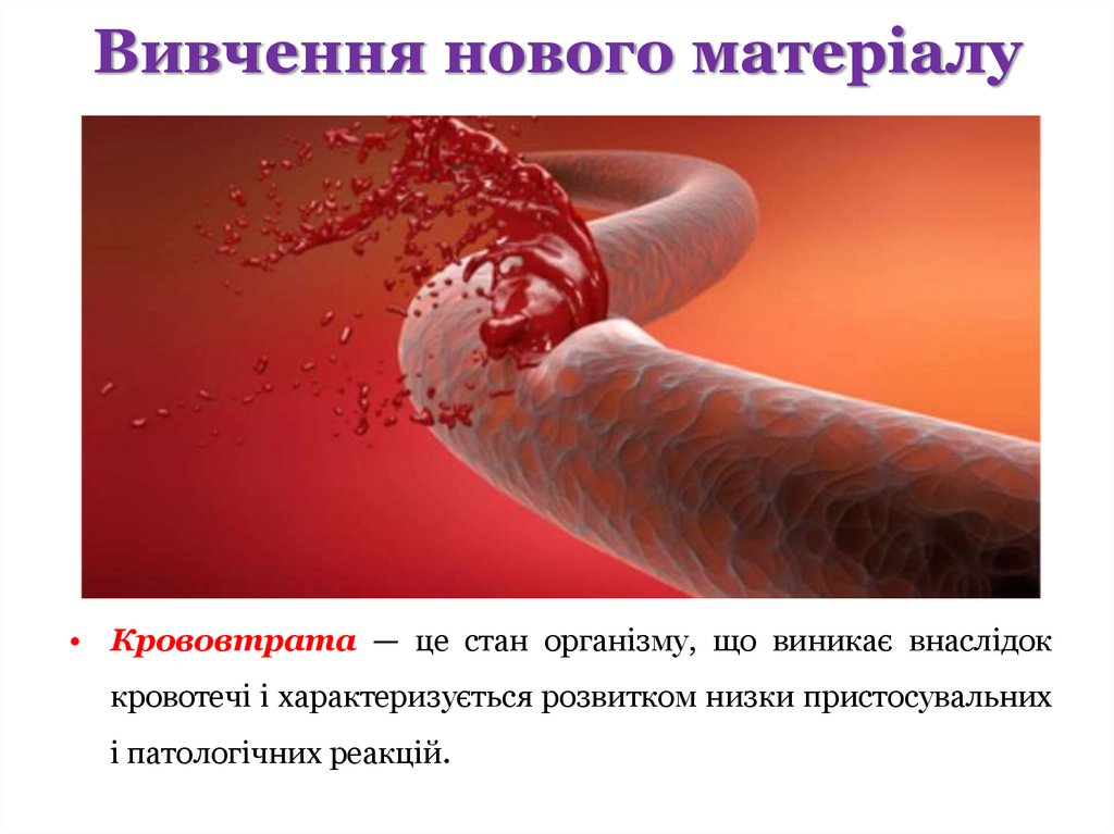 Вивчення нового матеріалу