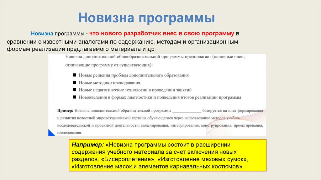 Новизна программы