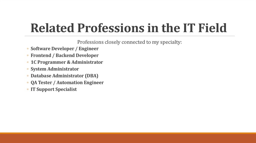 Related Professions in the IT Field