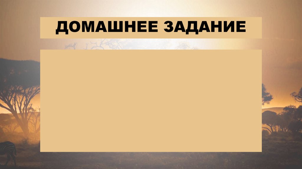 Домашнее задание