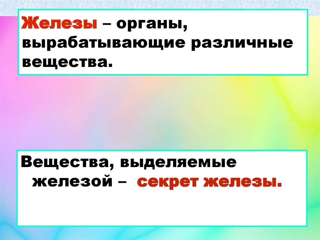 Железы – органы, вырабатывающие различные вещества.