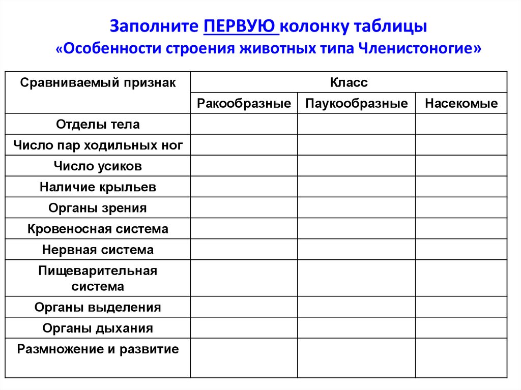 Заполните ПЕРВУЮ колонку таблицы «Особенности строения животных типа Членистоногие»