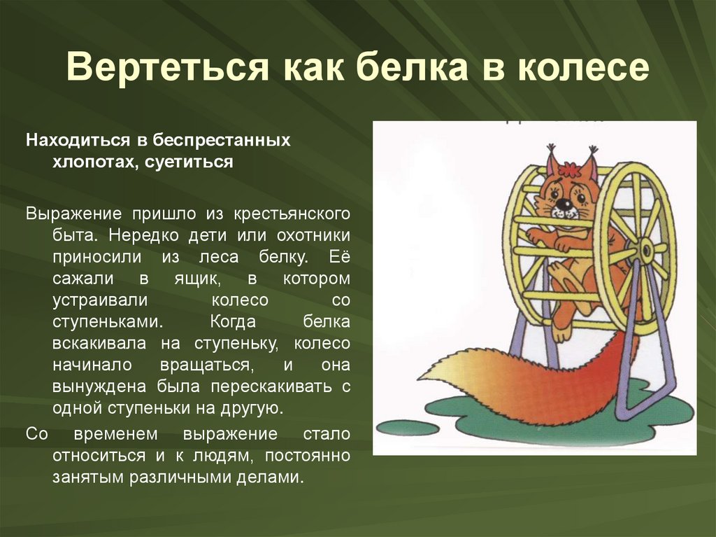 Вертеться как белка в колесе