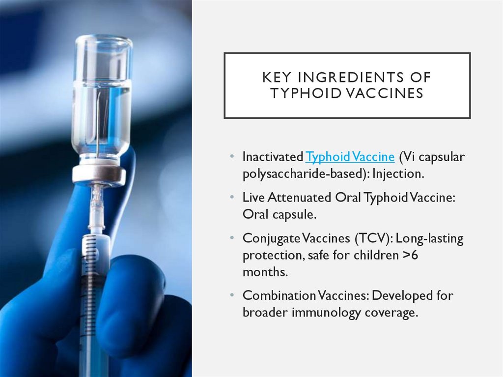 Key Ingredients of Typhoid Vaccines