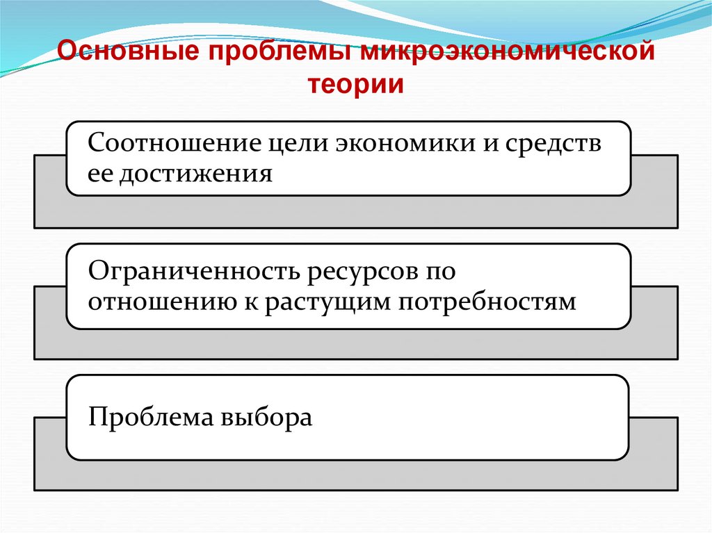 Основные проблемы микроэкономической теории