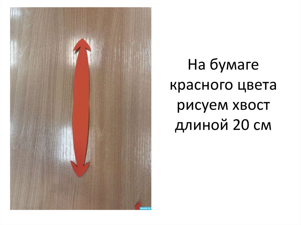 На бумаге красного цвета рисуем хвост длиной 20 см