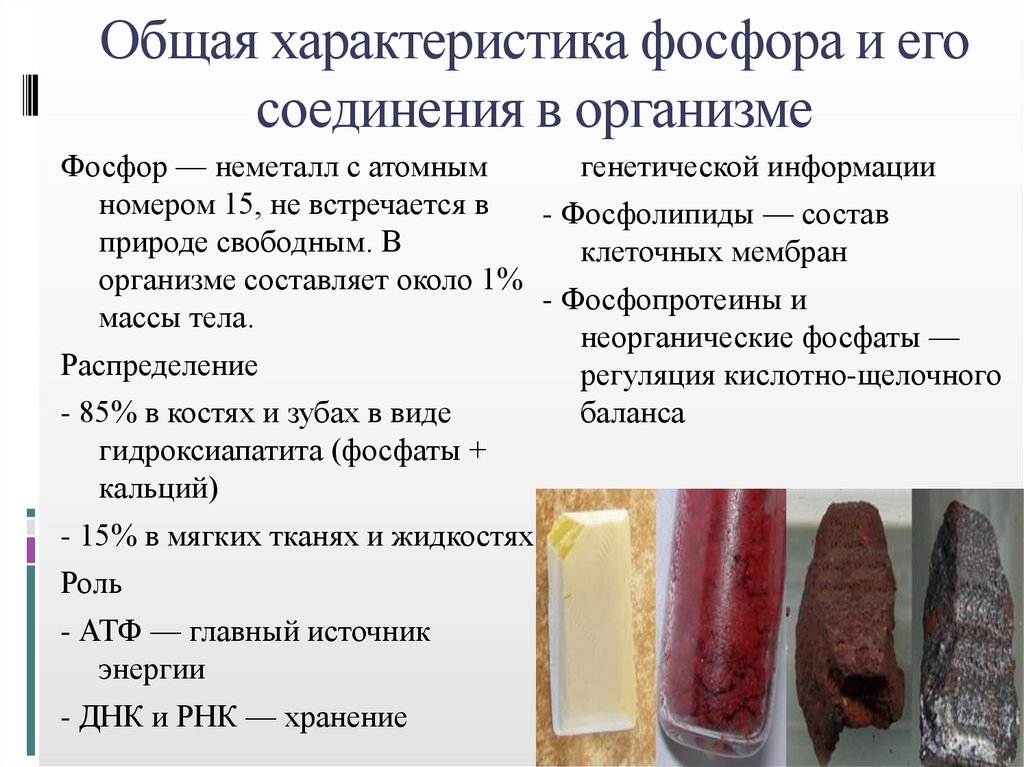Общая характеристика фосфора и его соединения в организме