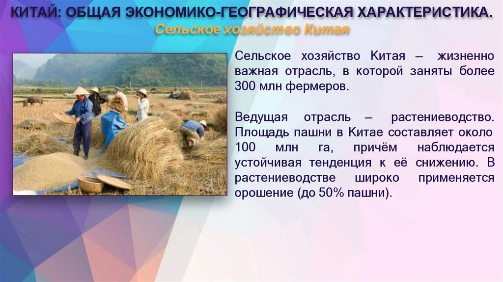 КИТАЙ: ОБЩАЯ ЭКОНОМИКО-ГЕОГРАФИЧЕСКАЯ ХАРАКТЕРИСТИКА. Сельское хозяйство Китая