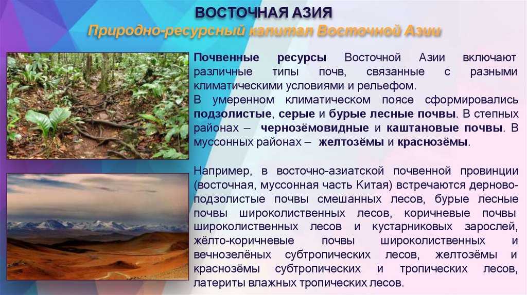 ВОСТОЧНАЯ АЗИЯ Природно-ресурсный капитал Восточной Азии