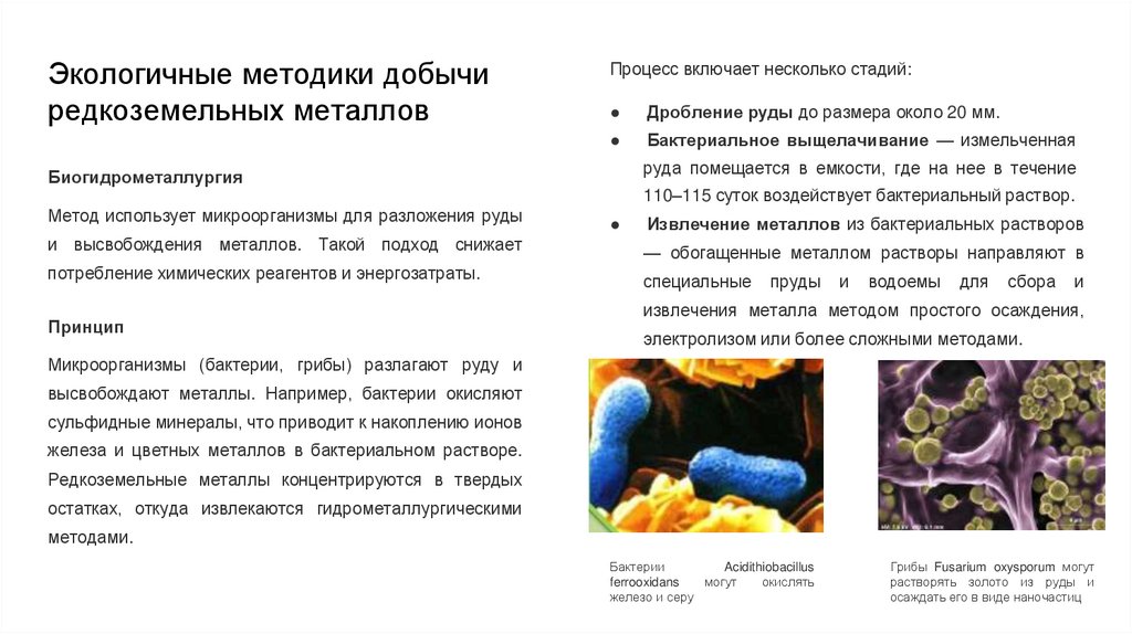 Экологичные методики добычи редкоземельных металлов