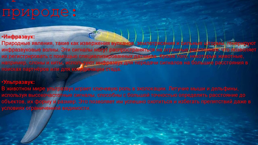 Применение в природе: