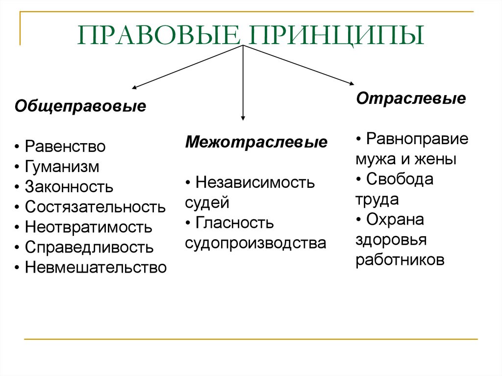 ПРАВОВЫЕ ПРИНЦИПЫ