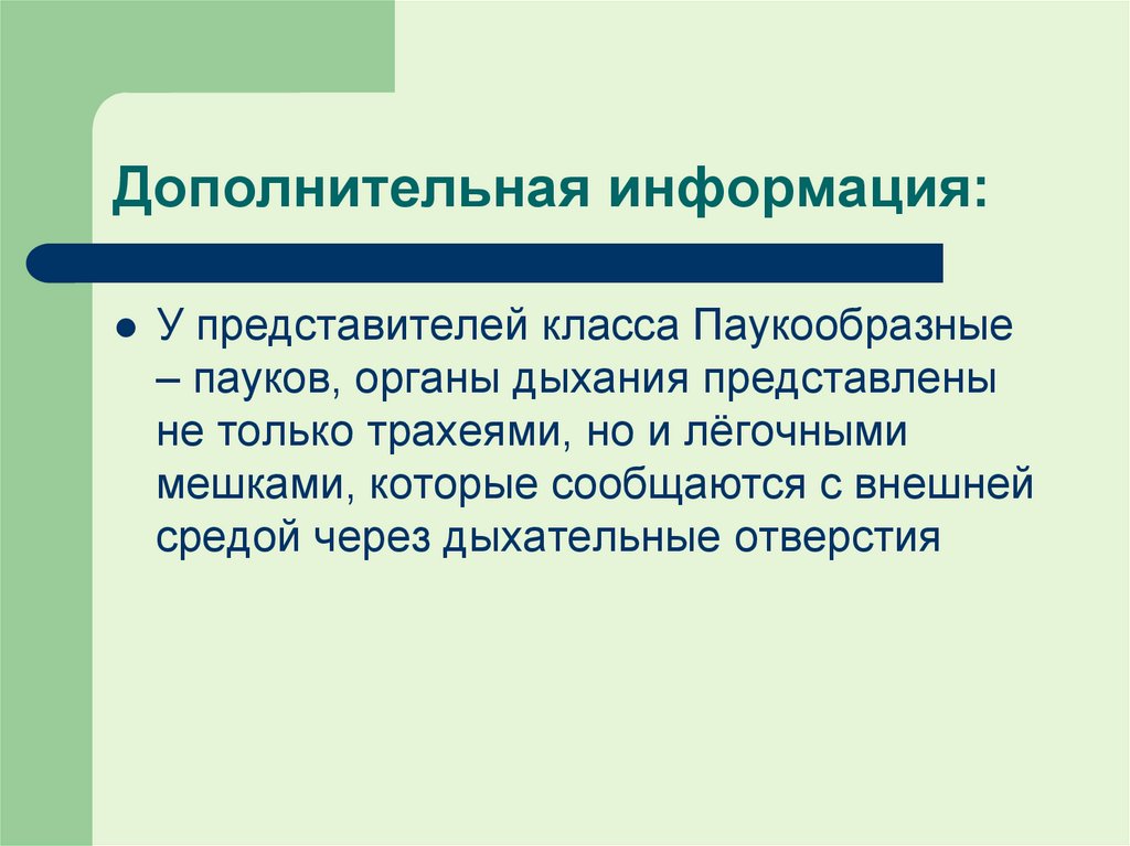 Дополнительная информация: