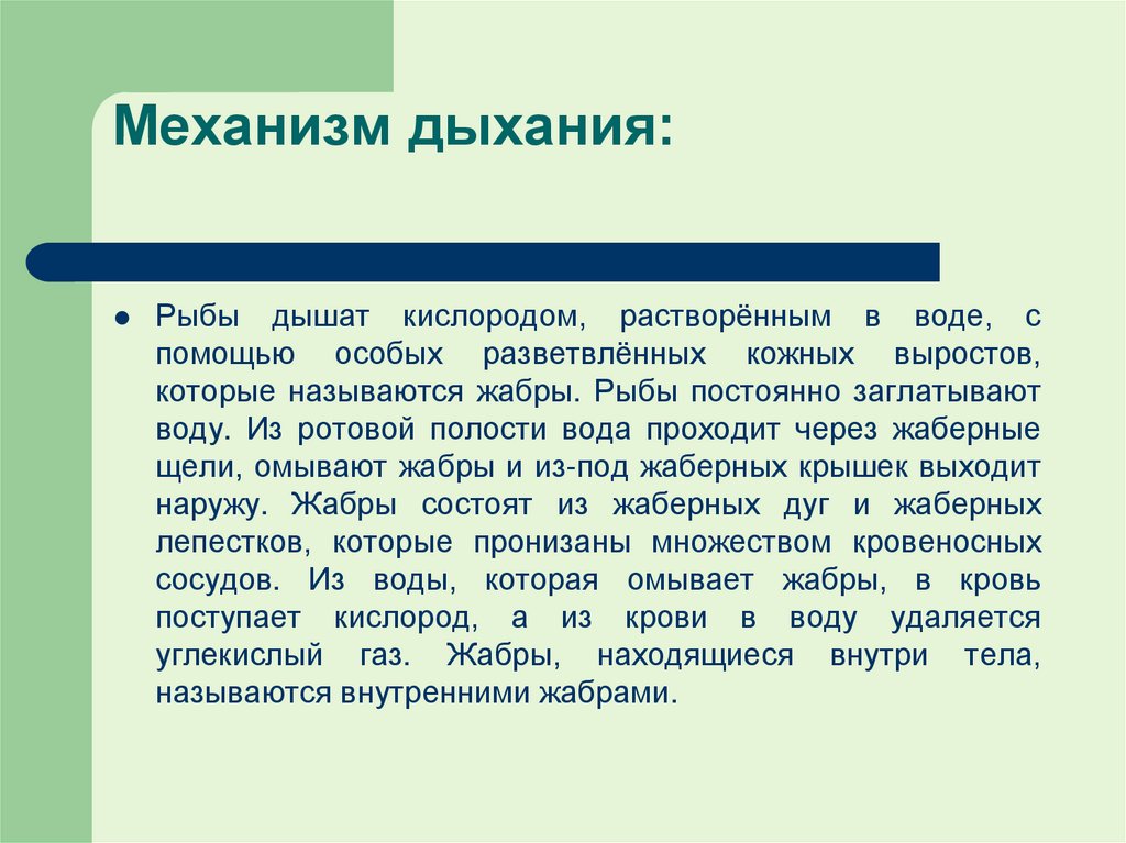 Механизм дыхания: