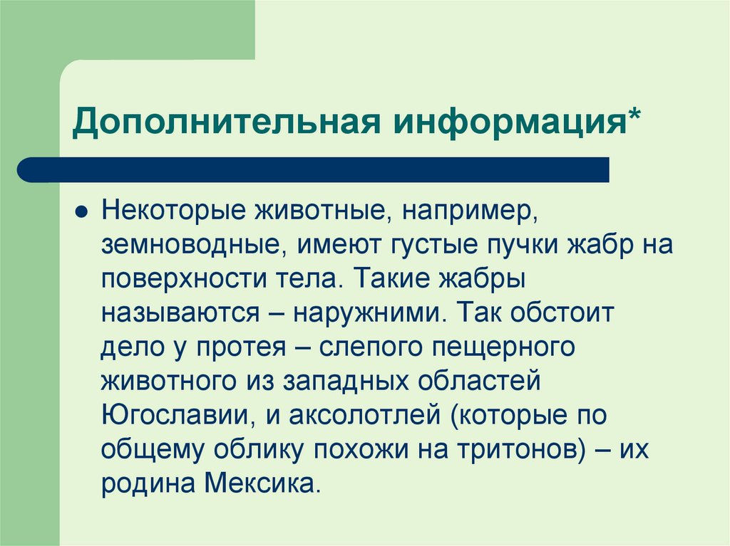 Дополнительная информация*