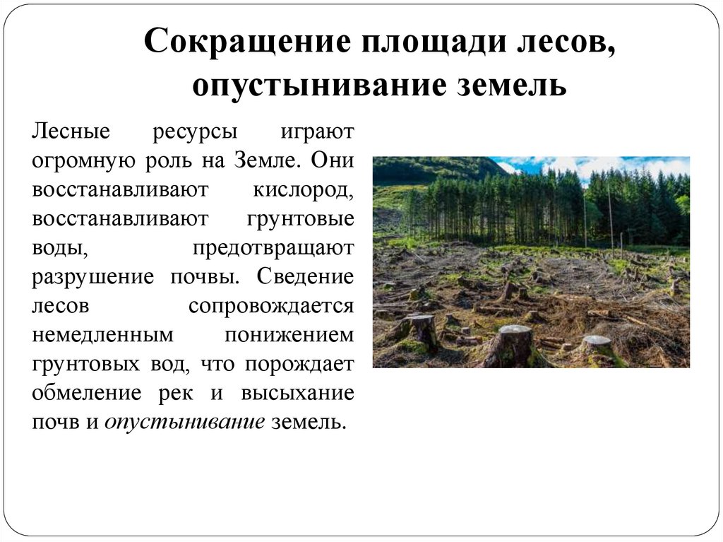 Сокращение площади лесов, опустынивание земель