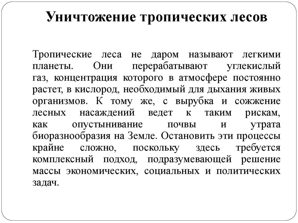 Уничтожение тропических лесов