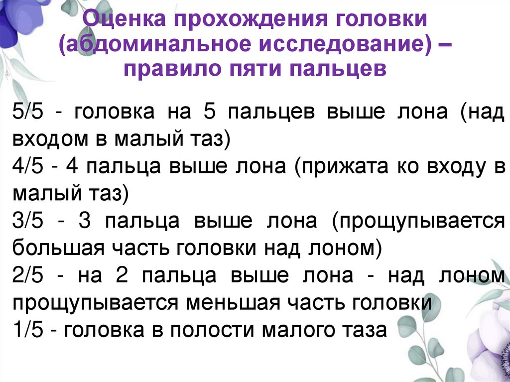 Оценка прохождения головки (абдоминальное исследование) – правило пяти пальцев