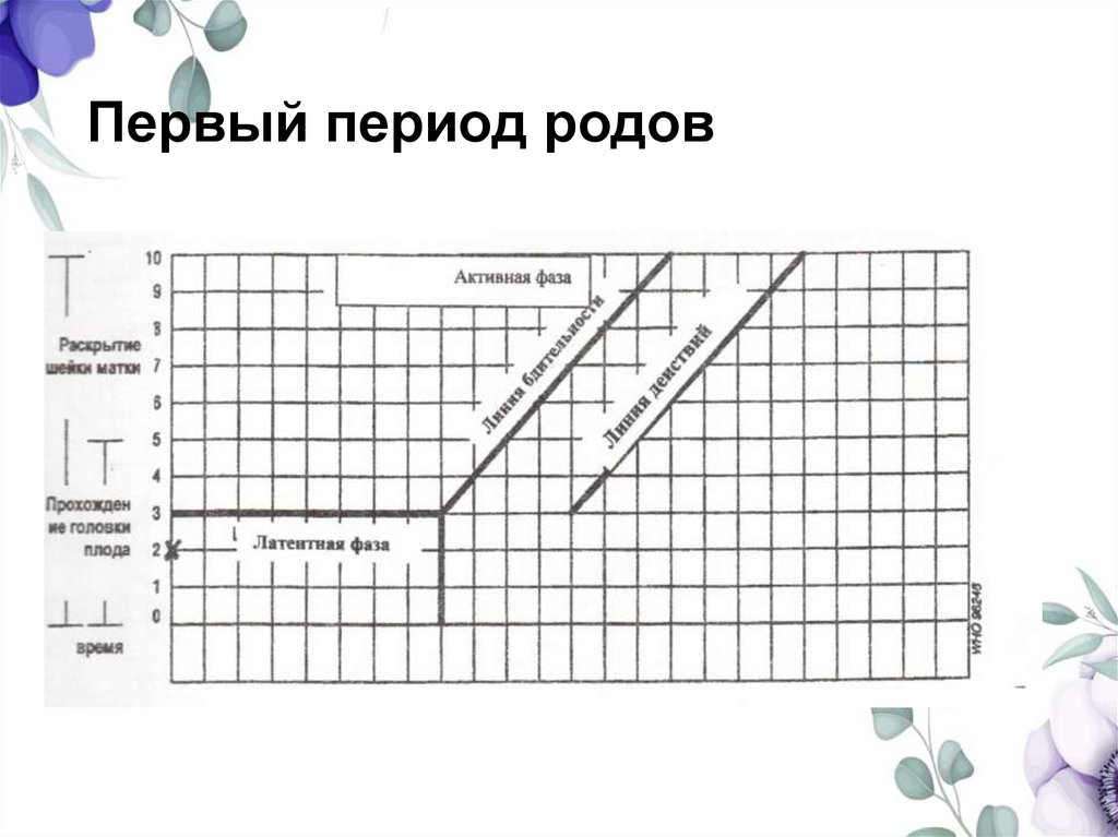 Первый период родов
